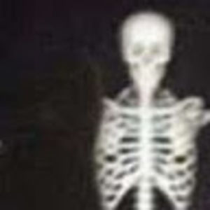 Meet your Posher, Seth